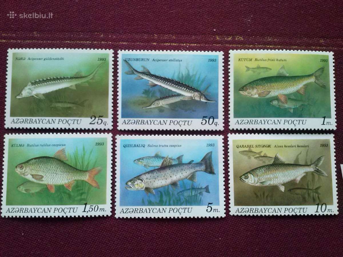 Azerbaycan 1993m.