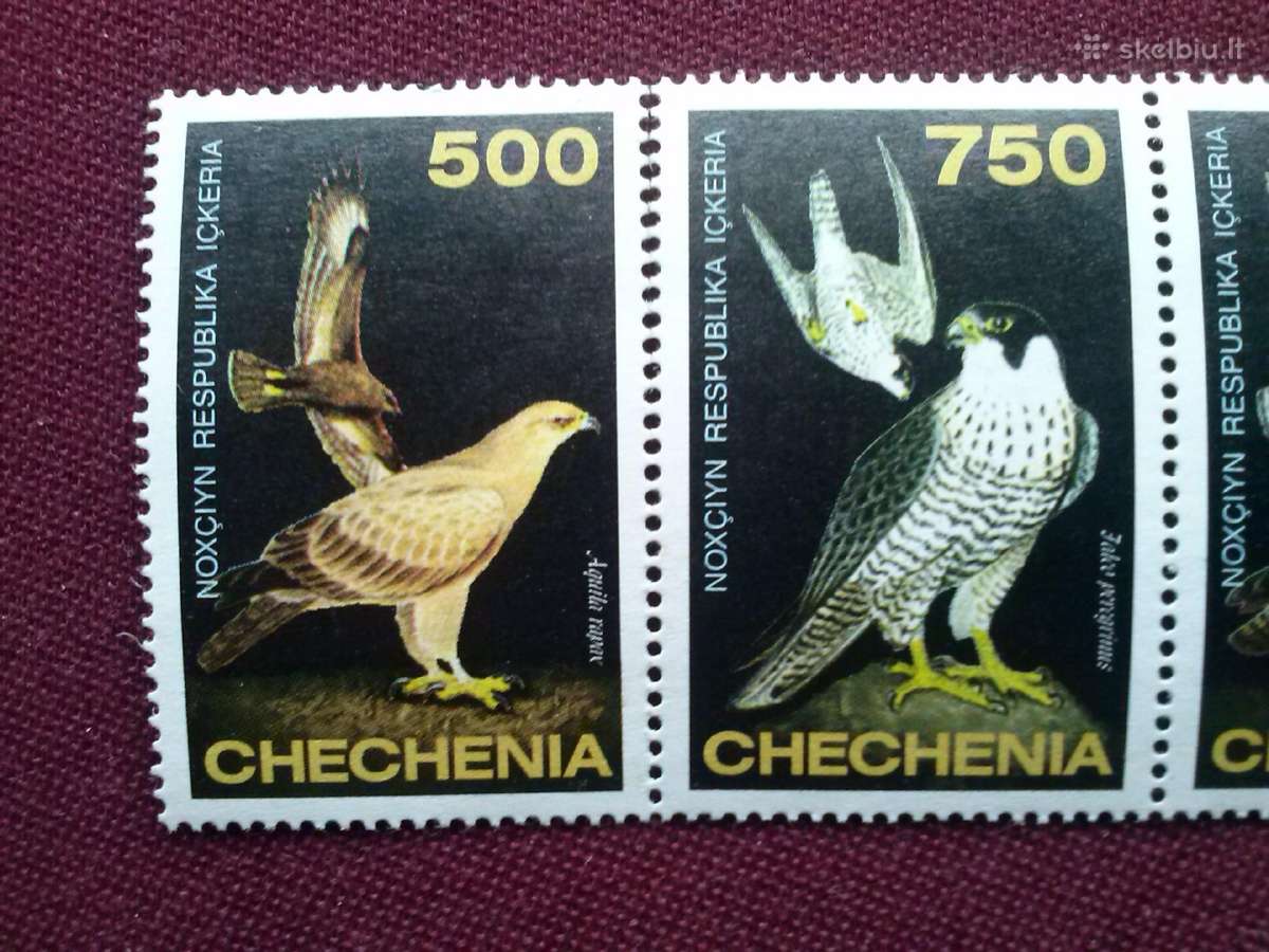 Chechenia.1997m. - nuotraukos Nr. 2