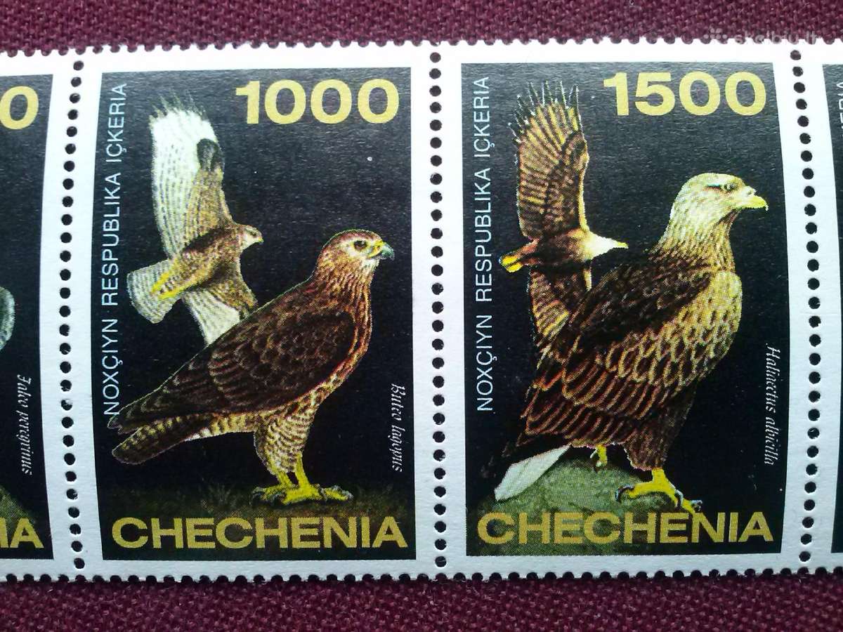 Chechenia.1997m. - nuotraukos Nr. 3