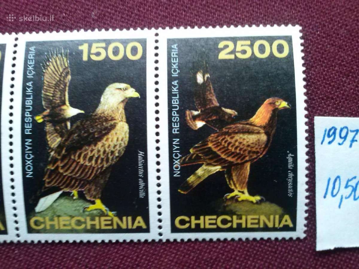 Chechenia.1997m. - nuotraukos Nr. 4