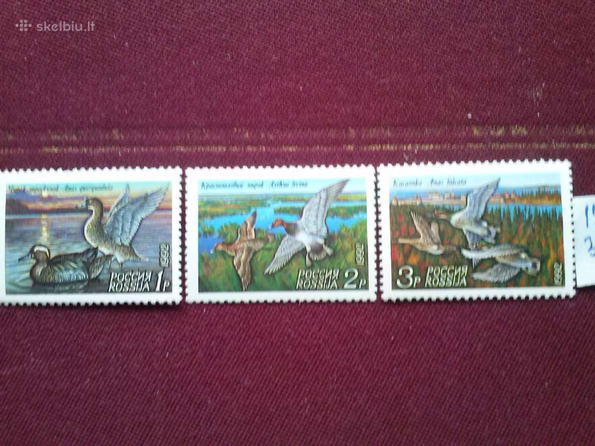 Rusja.1992m.