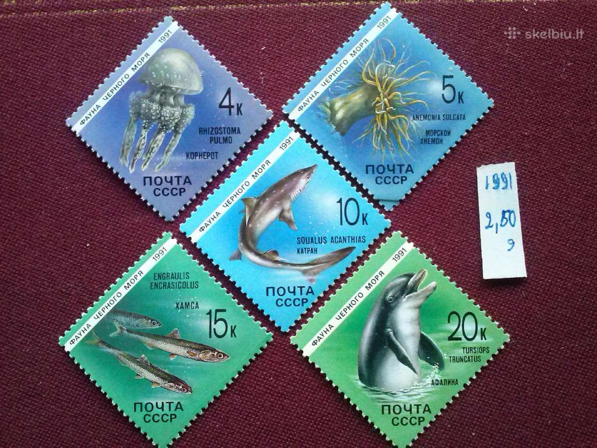 1991m.ccCCCP