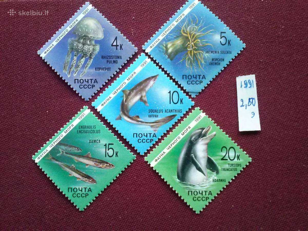 1991m.ccCCCP - nuotraukos Nr. 2