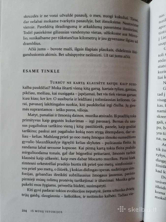A. Čekuolis "Mūsų slaptieji ir dramblys bute" - nuotraukos Nr. 8