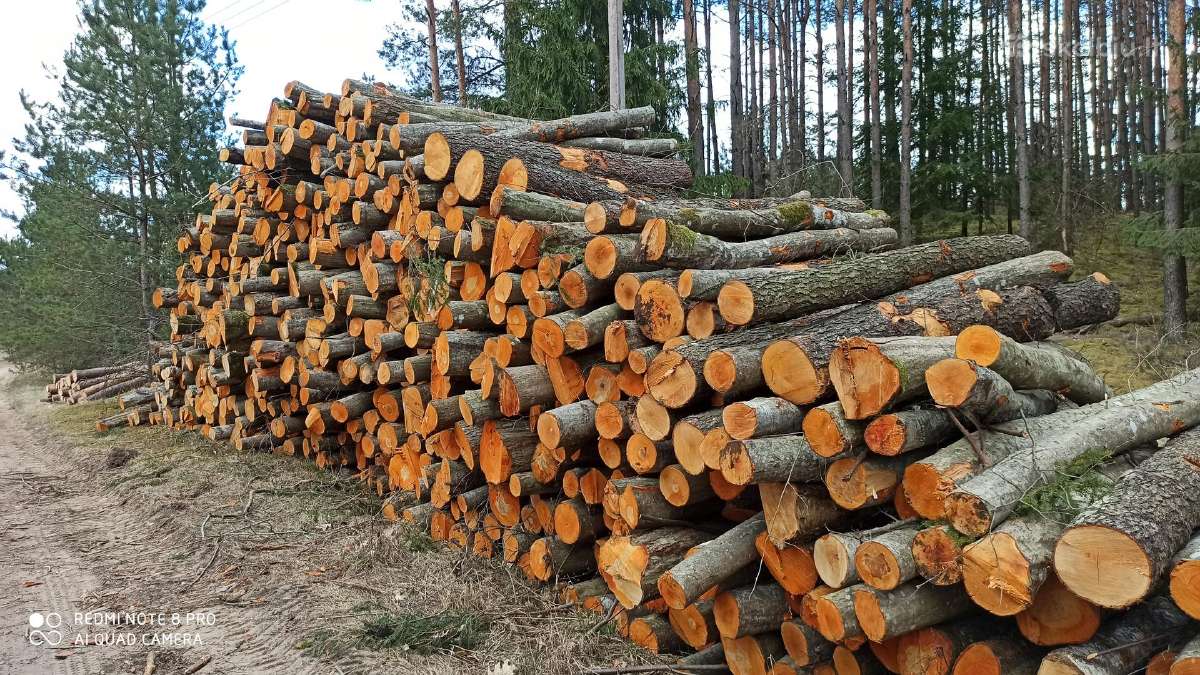Malkos rąstais, kaladėmis, skaldytos. Įvairiais ki - nuotraukos Nr. 10