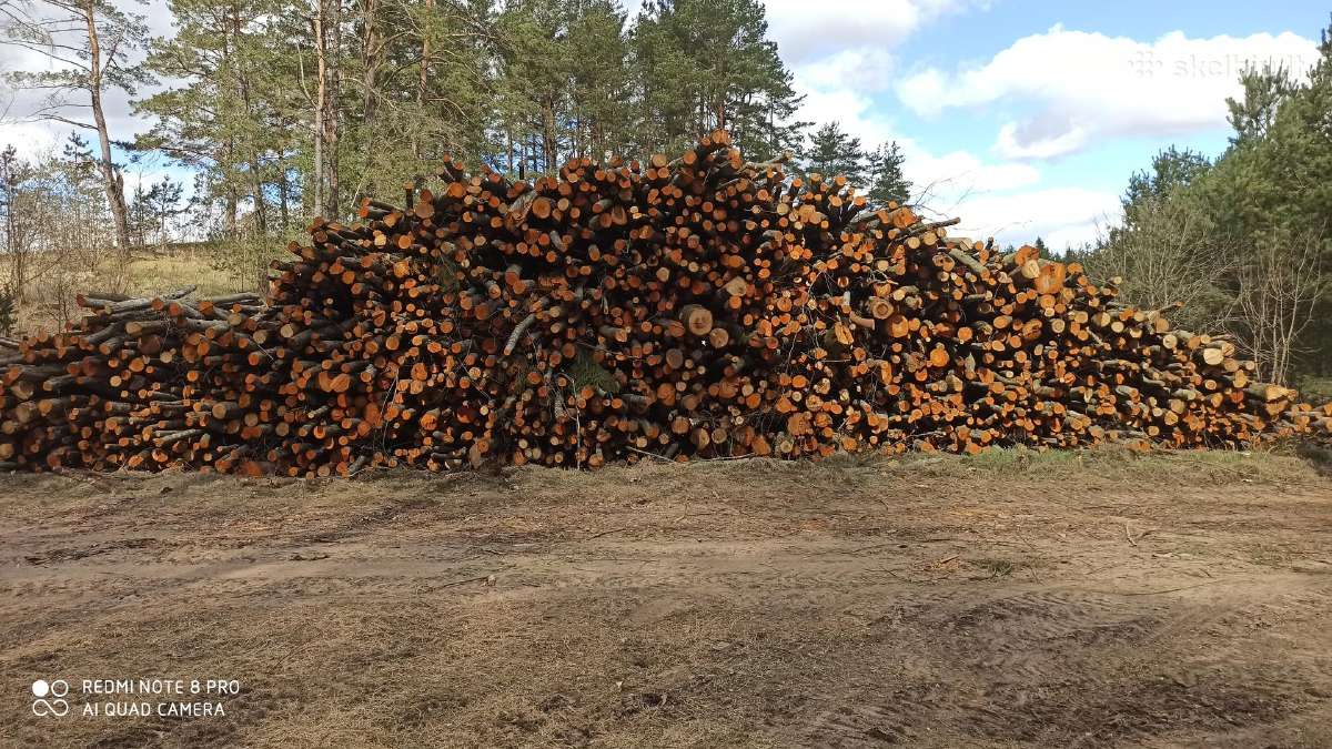 Malkos rąstais, kaladėmis, skaldytos. Įvairiais ki - nuotraukos Nr. 11