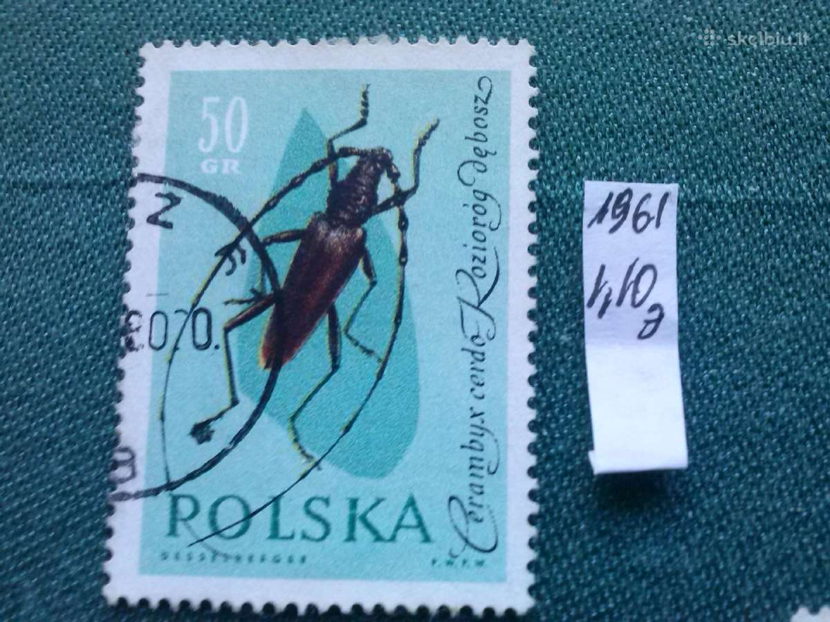 Poland 1961 m.