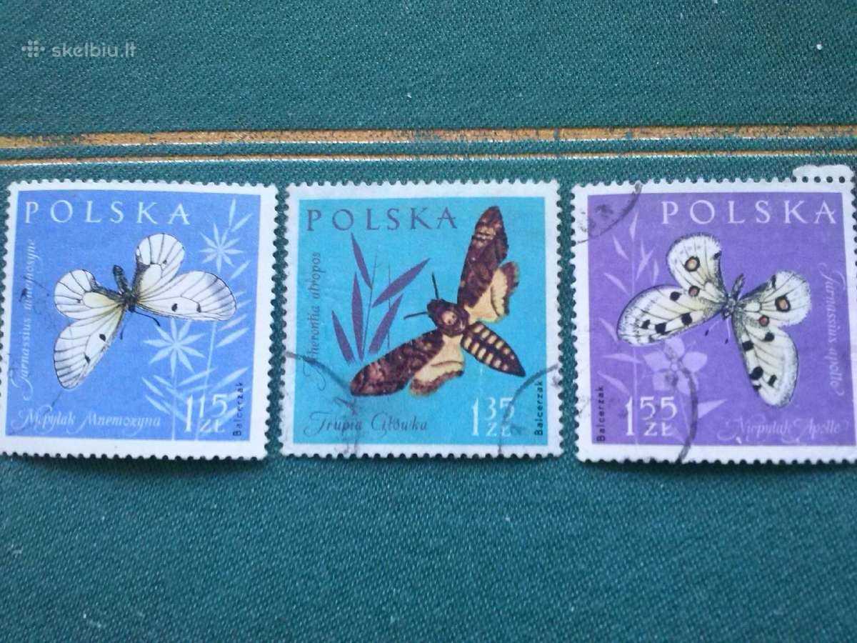 Poland 1961 m.