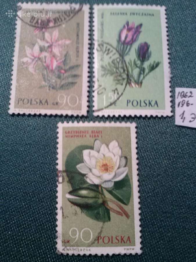 Poland 1962 m.