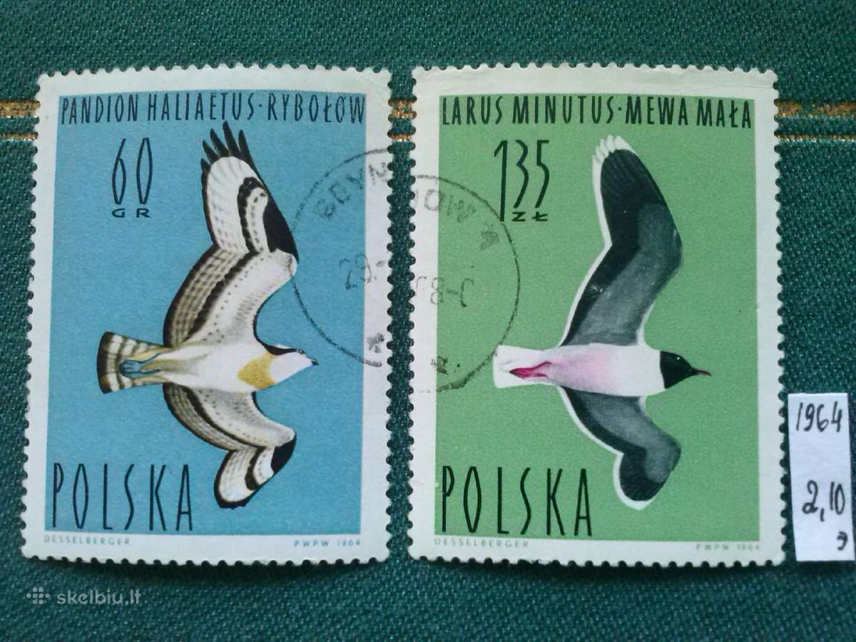 Poland 1964 m.