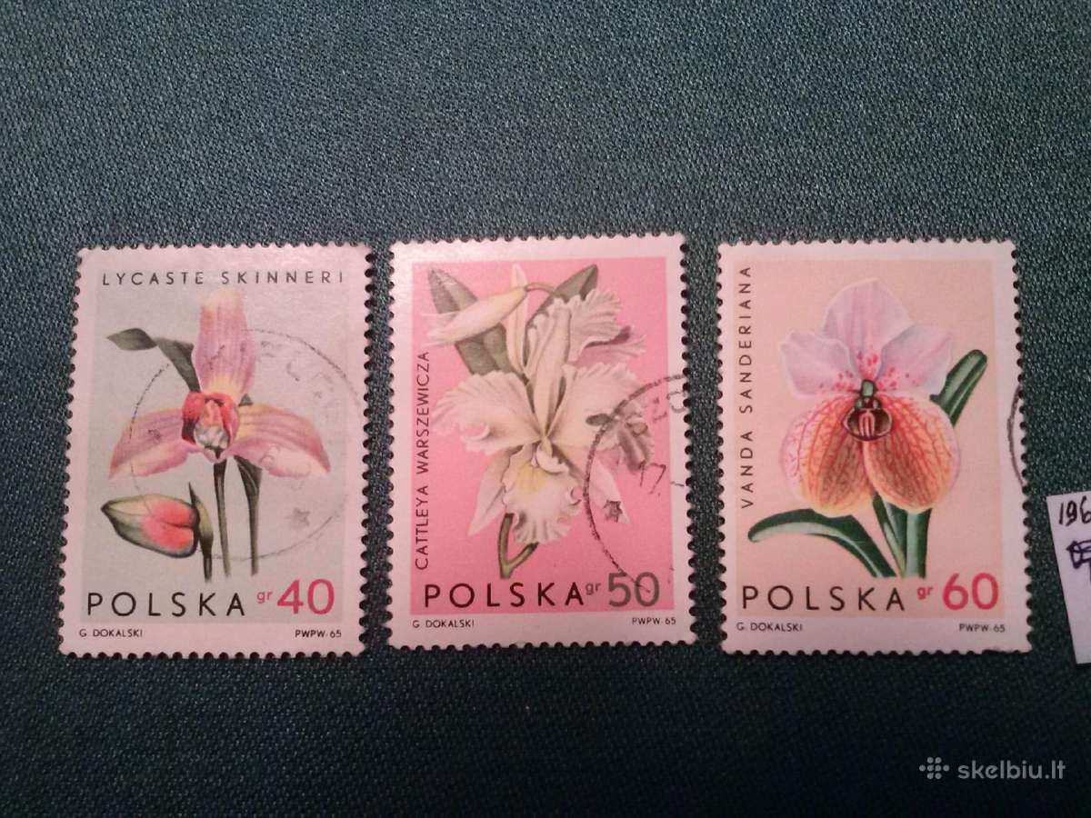 Poland 1966 m.