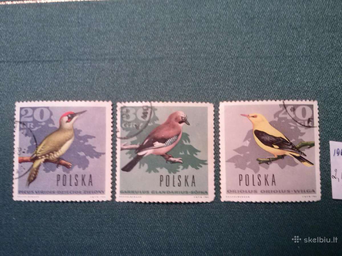 Poland 1966 m.