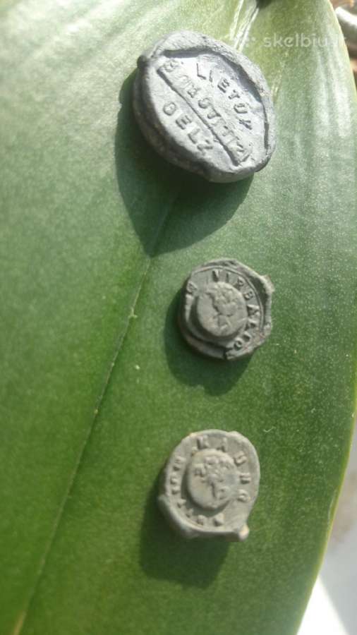 Senovines Lietuviskos plombos - nuotraukos Nr. 3