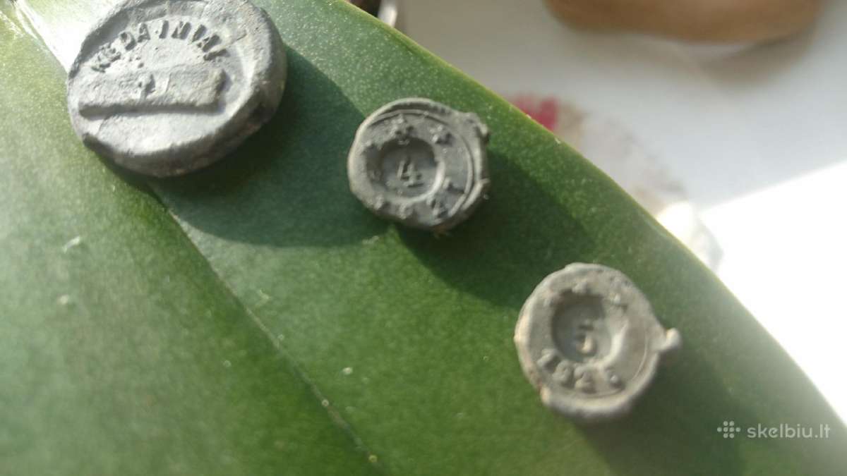 Senovines Lietuviskos plombos - nuotraukos Nr. 4