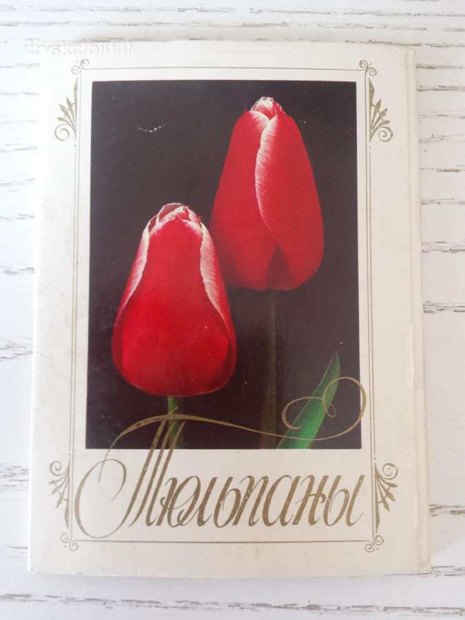 Tulpės - atvirukų rinkinyje - nuotraukos Nr. 3
