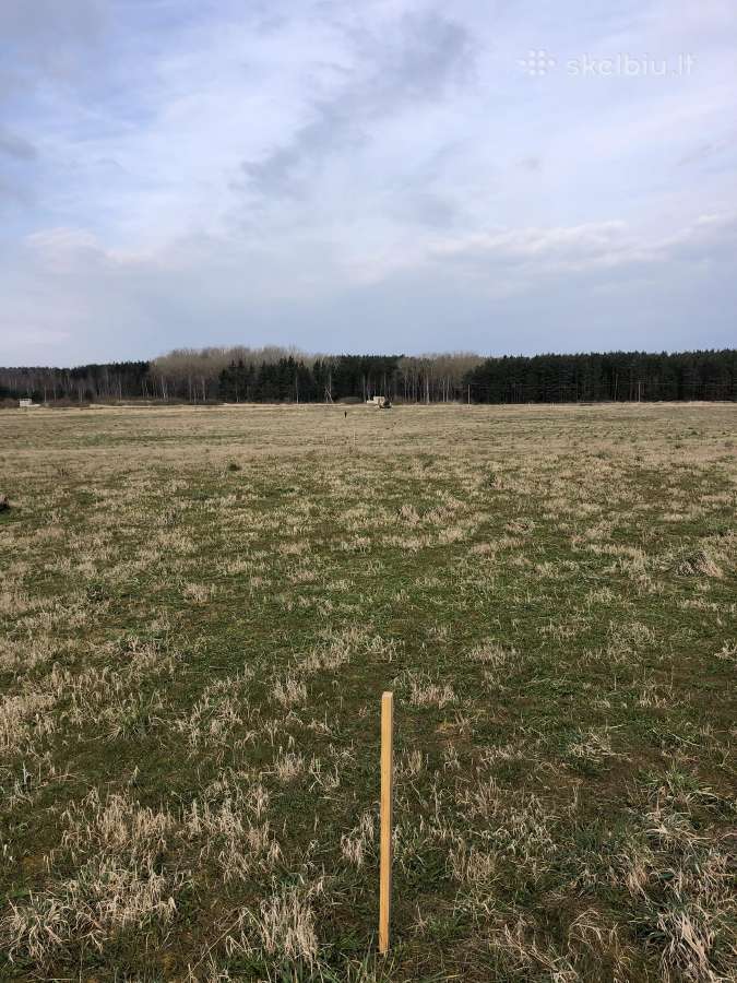 Kelių ir privažiavimų įrengimas - nuotraukos Nr. 6