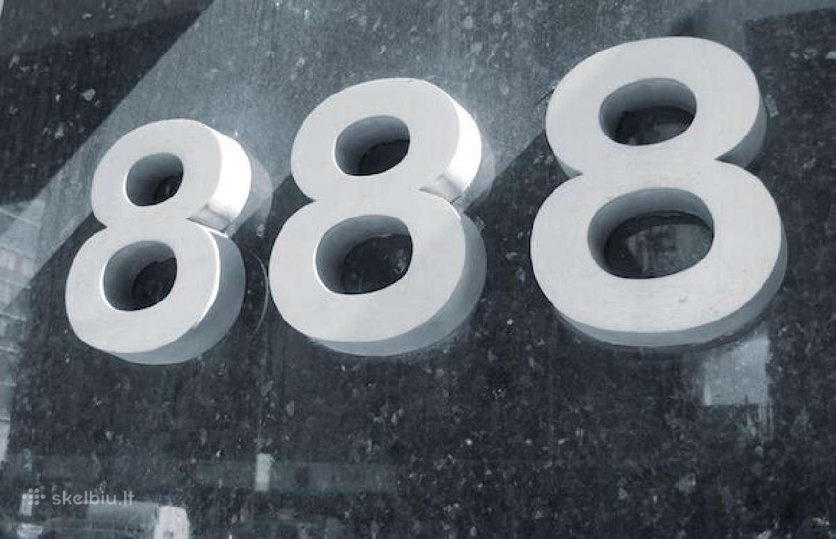 Įsimintinas VIP numeris 06 888 888 x