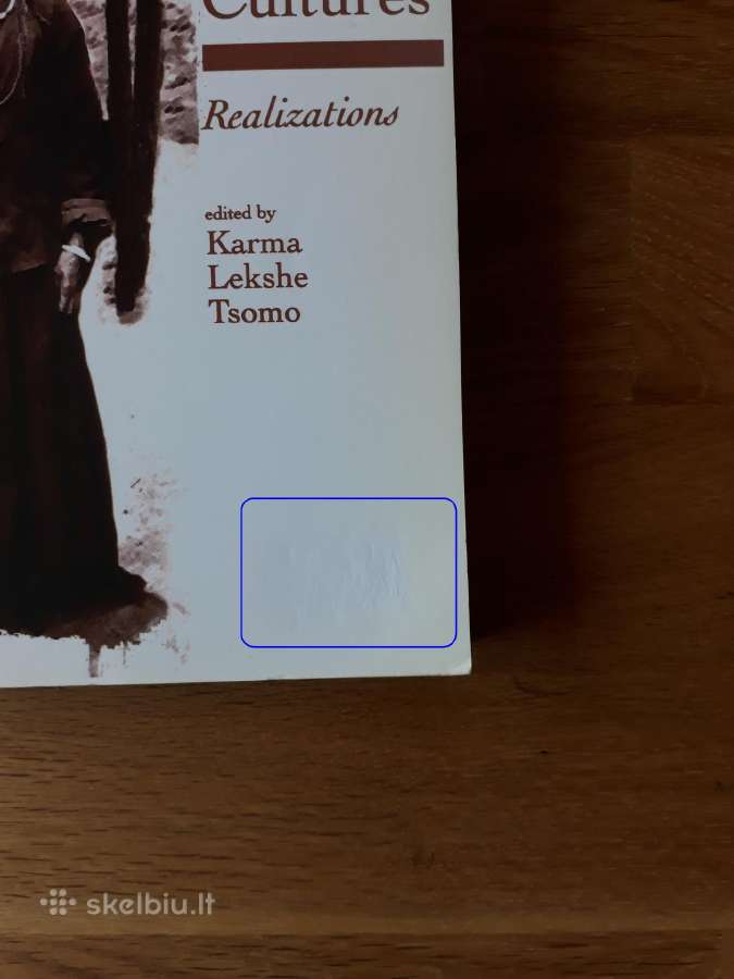 Knyga "Buddhist Women Across Cultures" - nuotraukos Nr. 5