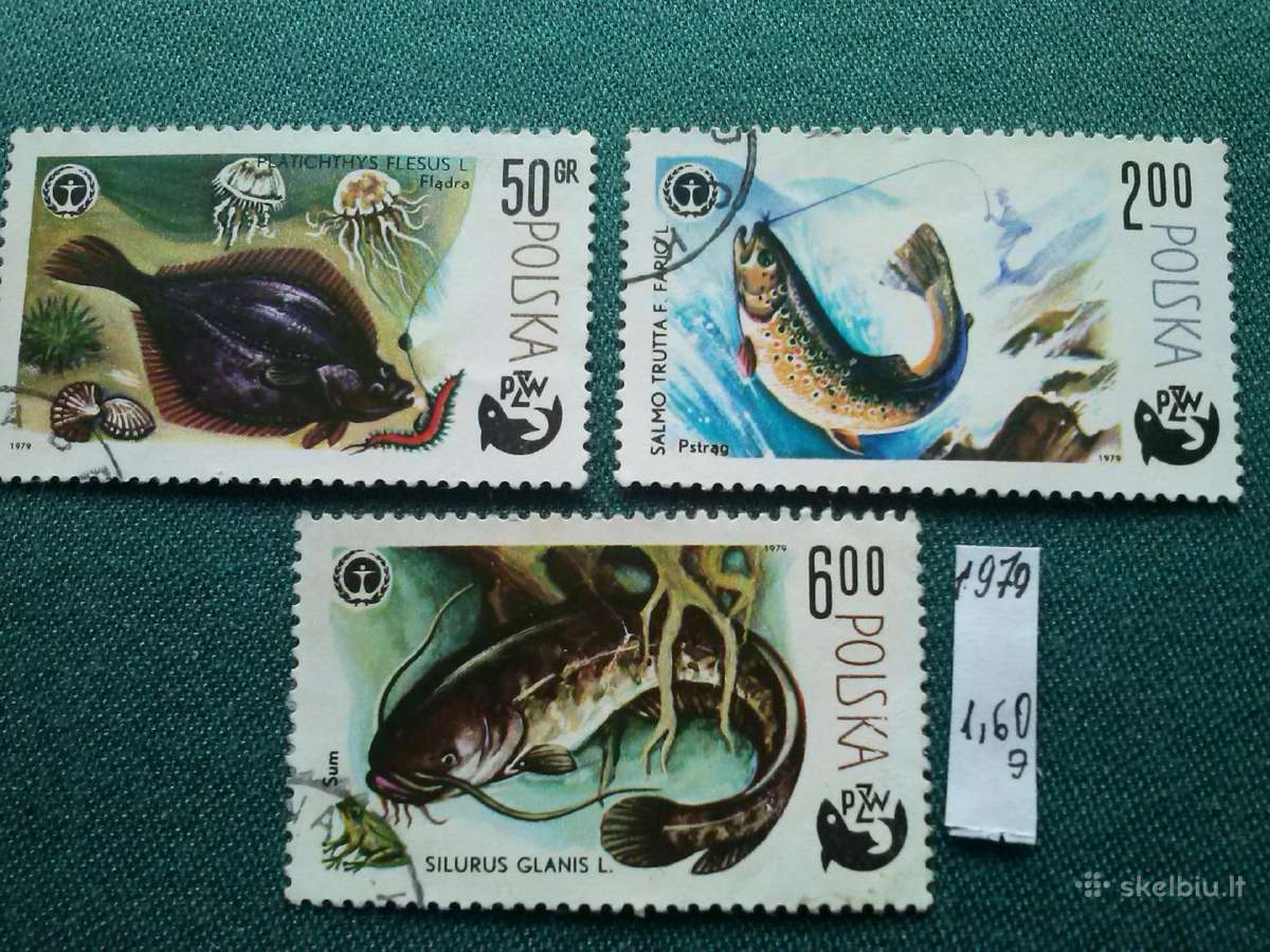 Poland 1979 m.