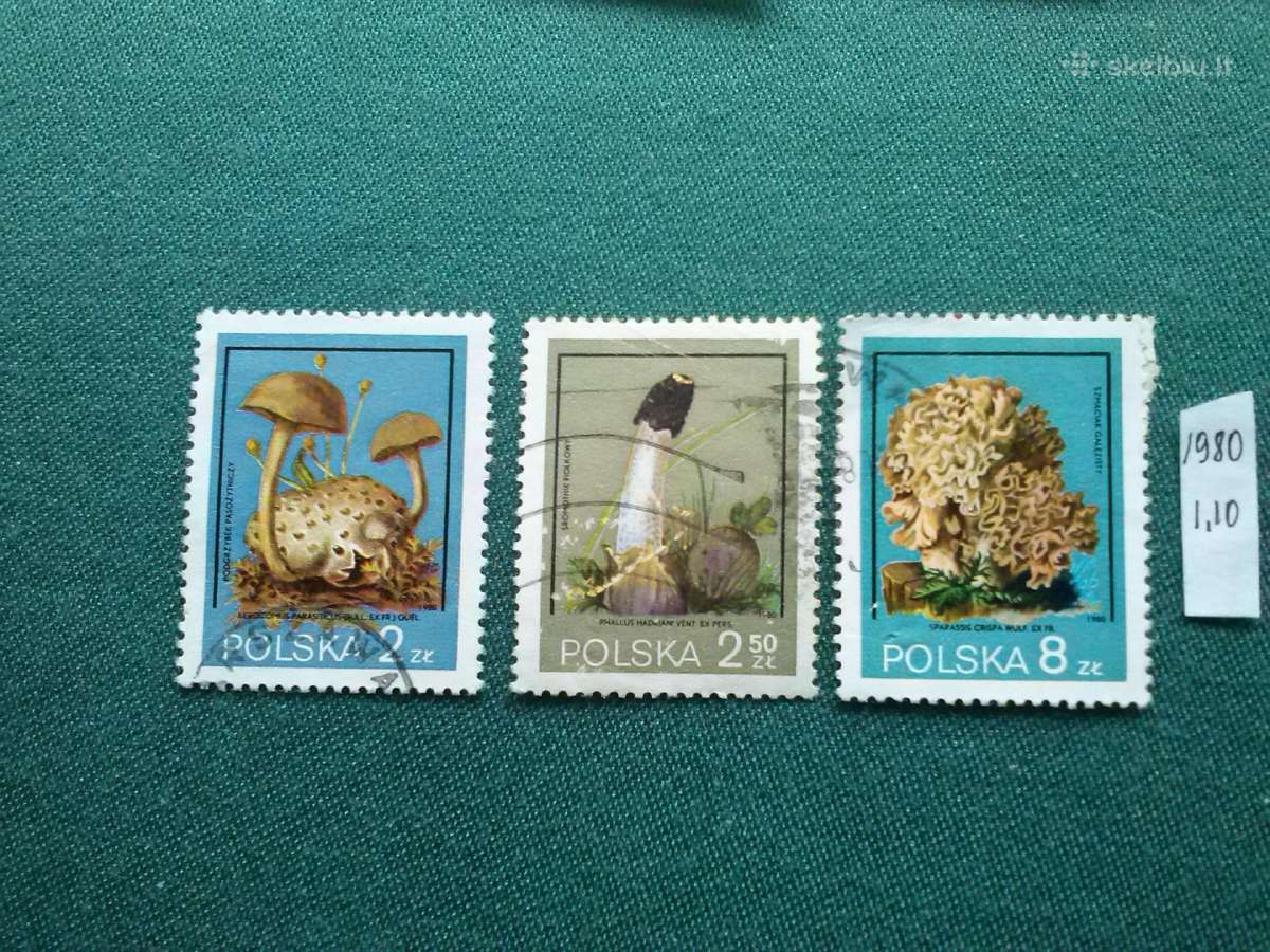 Poland 1980 m.