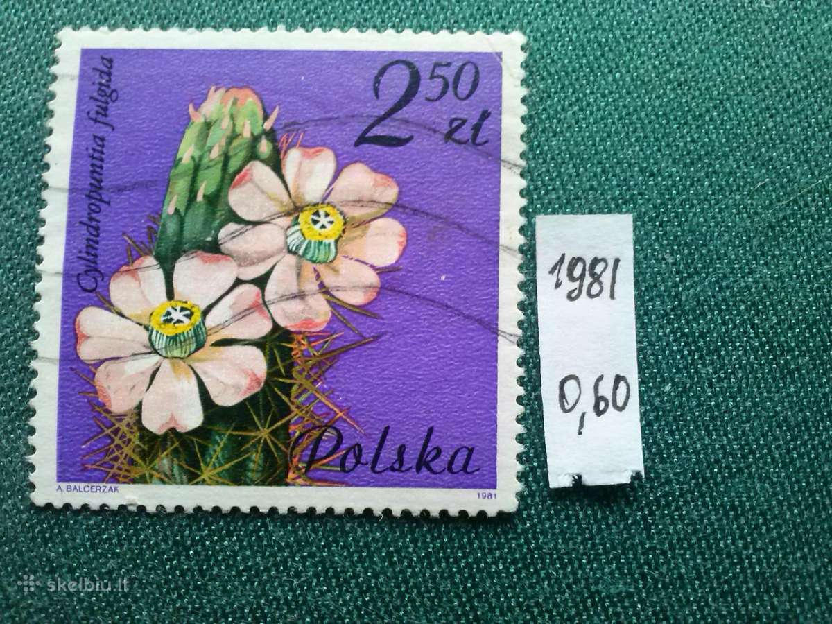 Poland 1981 m.