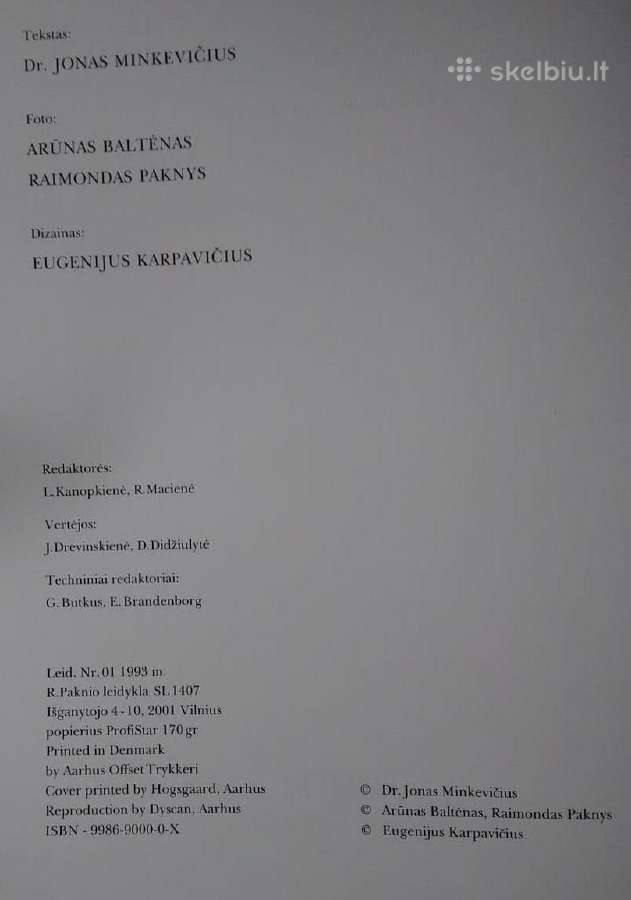 Lietuvos bažnyčių menas - nuotraukos Nr. 5