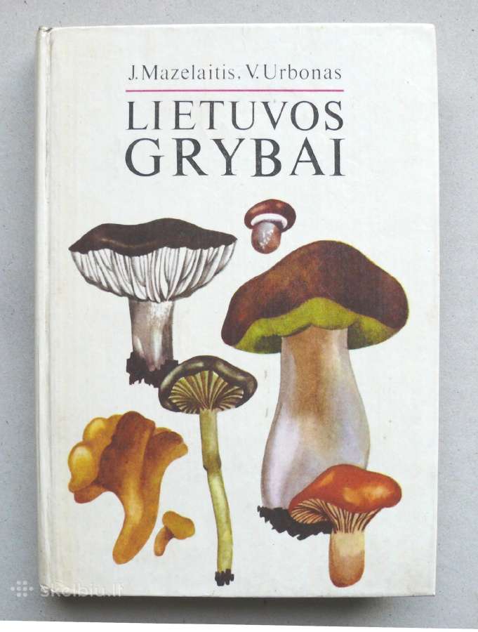 Lietuvos grybai