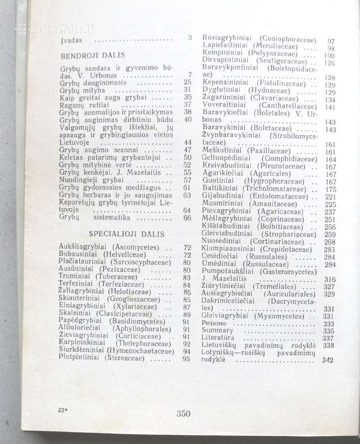 Lietuvos grybai - nuotraukos Nr. 3