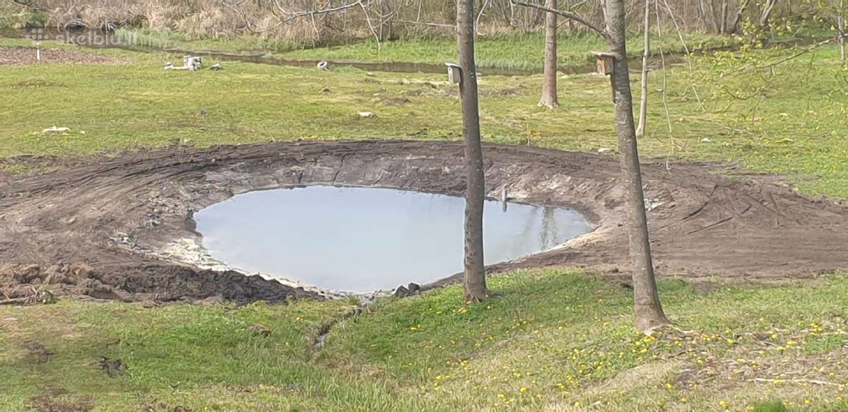 Bobcat ir eskavatoriaus nuoma Kaunas - nuotraukos Nr. 13