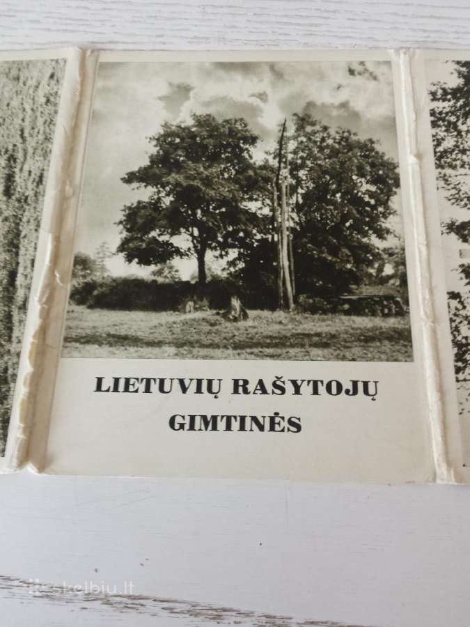 Atvirukų rinkinys 1966 m.