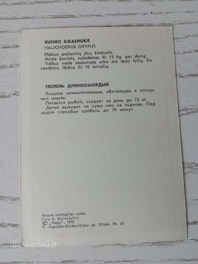 Kauno zoologijos sodas 1975 m. atvirukuose - nuotraukos Nr. 5