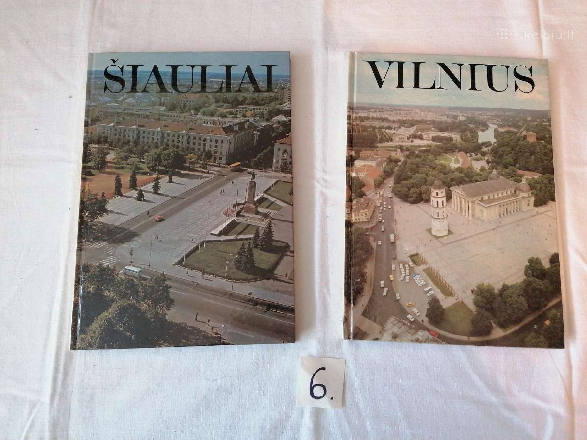 Vilniaus miesto knyga
