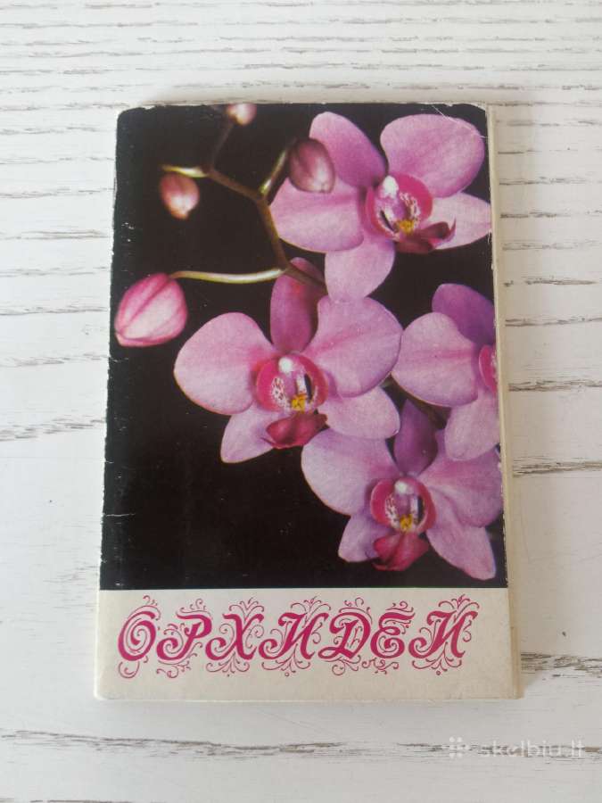 Orchidėjos atvirukų rinkinyje - nuotraukos Nr. 3