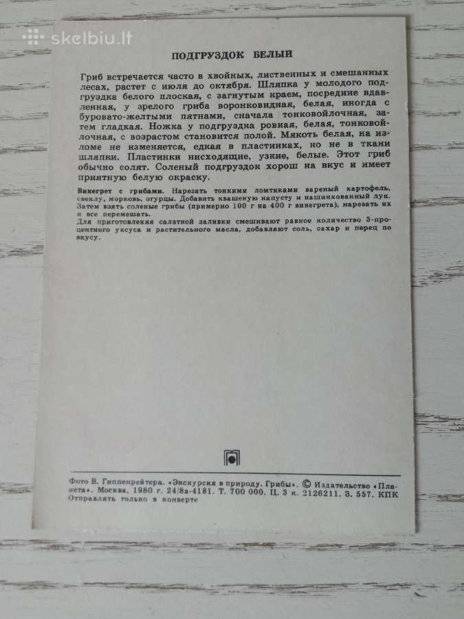 Grybai atvirukų rinkinyje - nuotraukos Nr. 4
