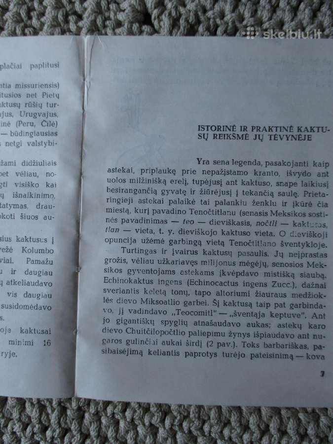 Knygelė kaktusų augintojams - nuotraukos Nr. 3