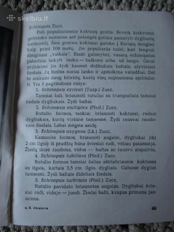 Knygelė kaktusų augintojams - nuotraukos Nr. 6