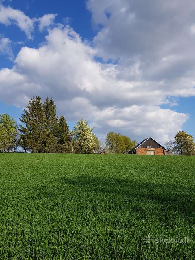 Molinis 100 metų tvartas