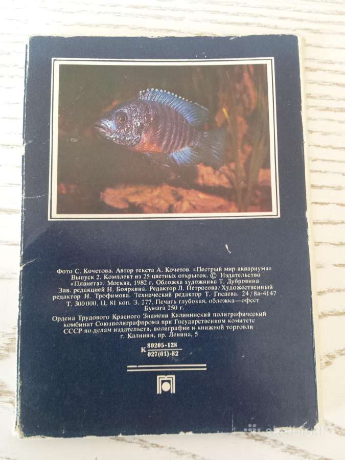 Akvariumo žuvys atvirukų rinkinyje - nuotraukos Nr. 6
