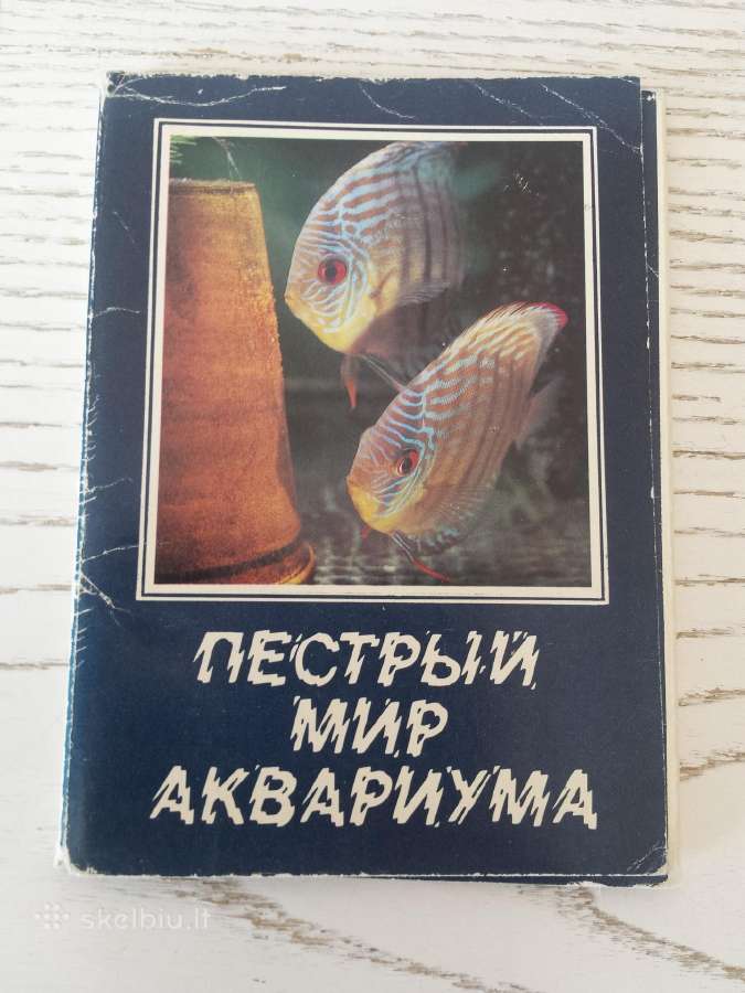 Akvariumo žuvys atvirukų rinkinyje