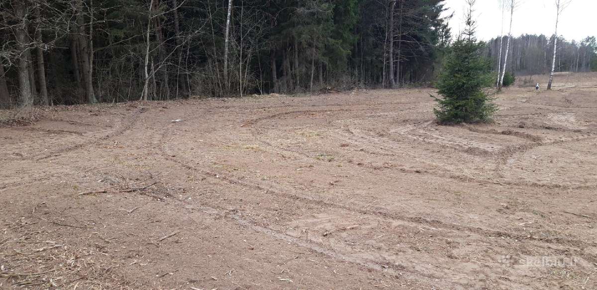Kelmų frezavimas, apleistų sklypų tvarkymas - nuotraukos Nr. 15