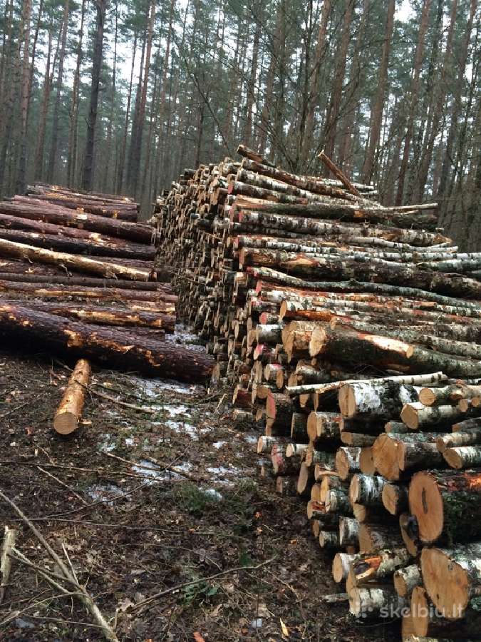 Ivairiu rusiu malkos skaldytos sausos nuo 60 €. 1m - nuotraukos Nr. 5