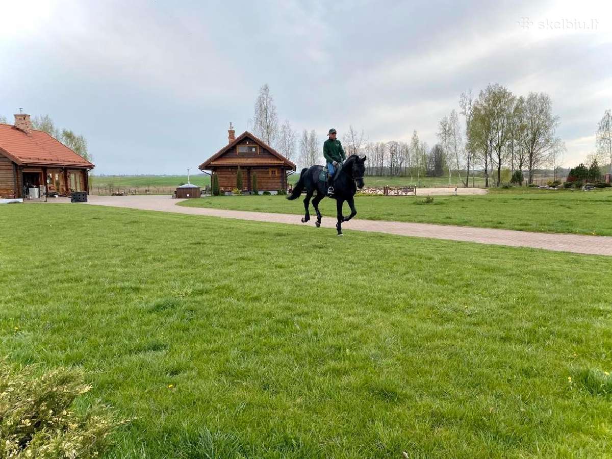 Sodyba "Skliausčių laisvalaikio centras " - nuotraukos Nr. 25