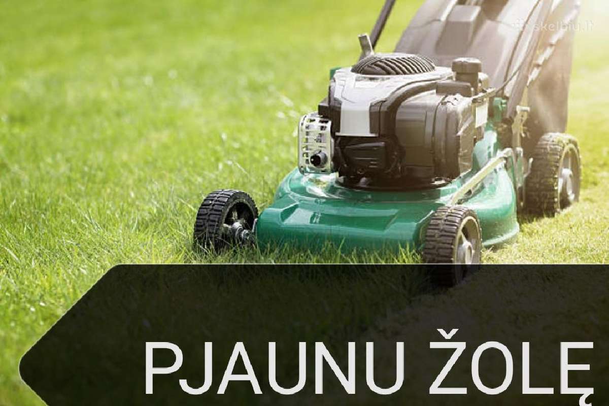 Žolės pjovimas, Gyvatvorių genėjimas - nuotraukos Nr. 18