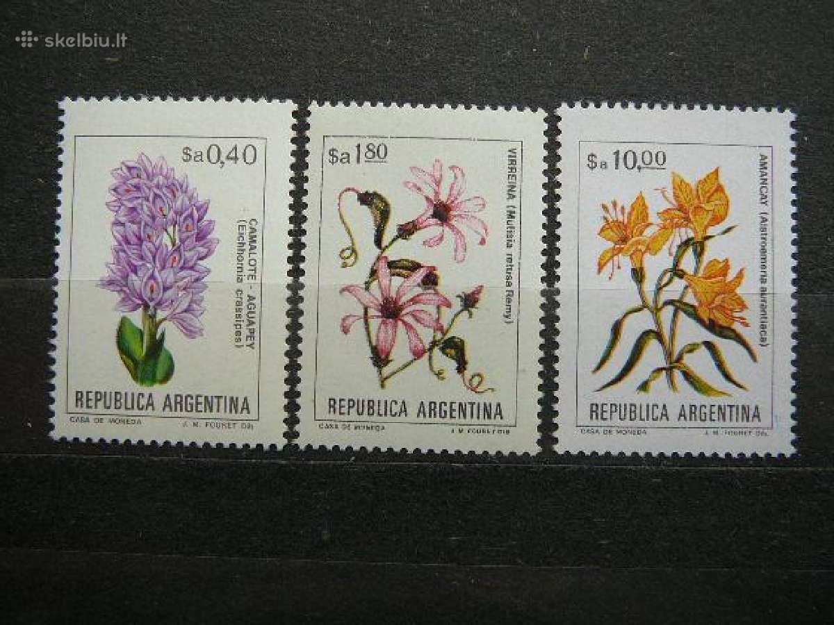 Geles Argentina svarus alb1002