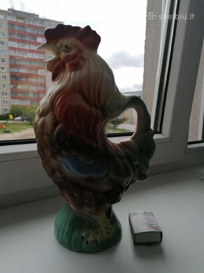 Grafinas gaidelis - nuotraukos Nr. 6