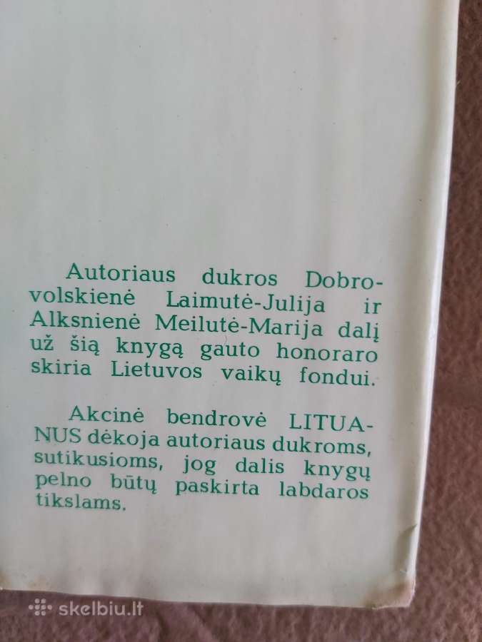 Knyga Kovose Dėl Lietuvos S.raštikis - nuotraukos Nr. 4