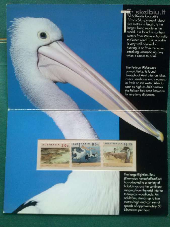 Australija. - nuotraukos Nr. 3