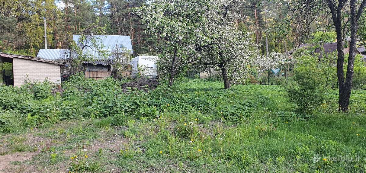 Frezavimas,vejos įrengimas sodybų tvarkymo darbai - nuotraukos Nr. 21