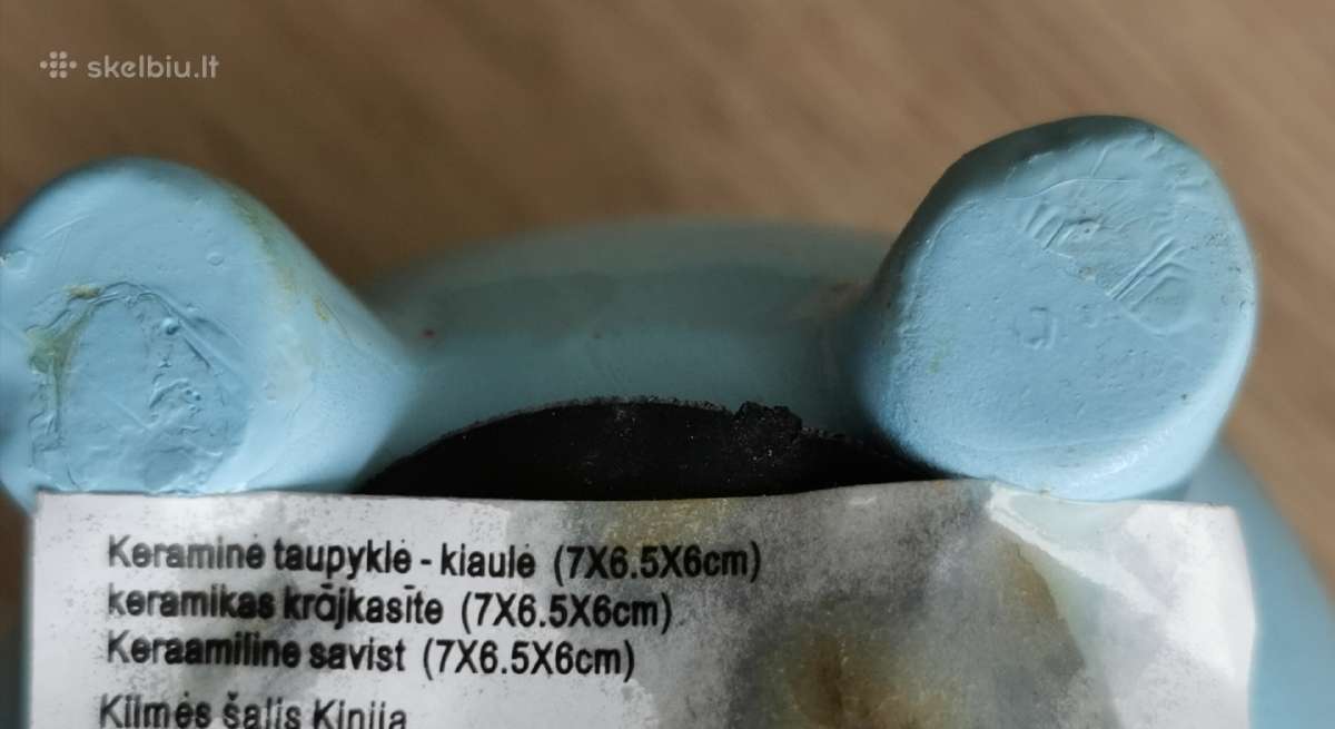 Kiaulė taupyklė - nuotraukos Nr. 3