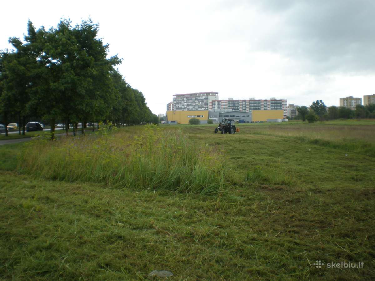 Žolės pjovimas, šienavimas Šiauliuose - nuotraukos Nr. 4